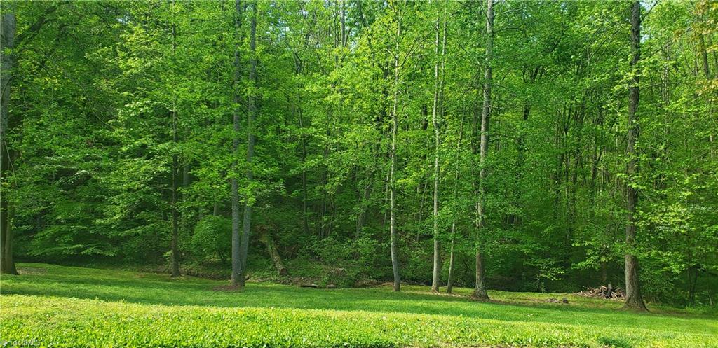 1185 Capella Ridge Road King, NC 27021 - Photo 5 of 24