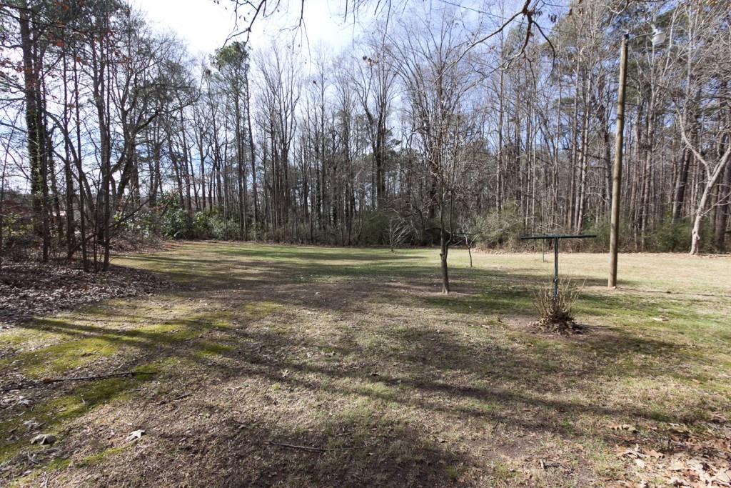 2855 Rosebud Road Loganville, GA 30052 - Photo 15 of 20