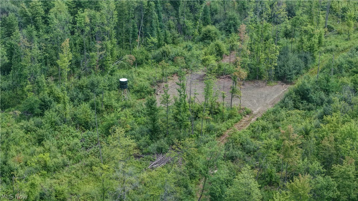 0 Bushnell Campbell Road Kinsman, OH 44428 - Photo 17 of 36 Gallery Image 17