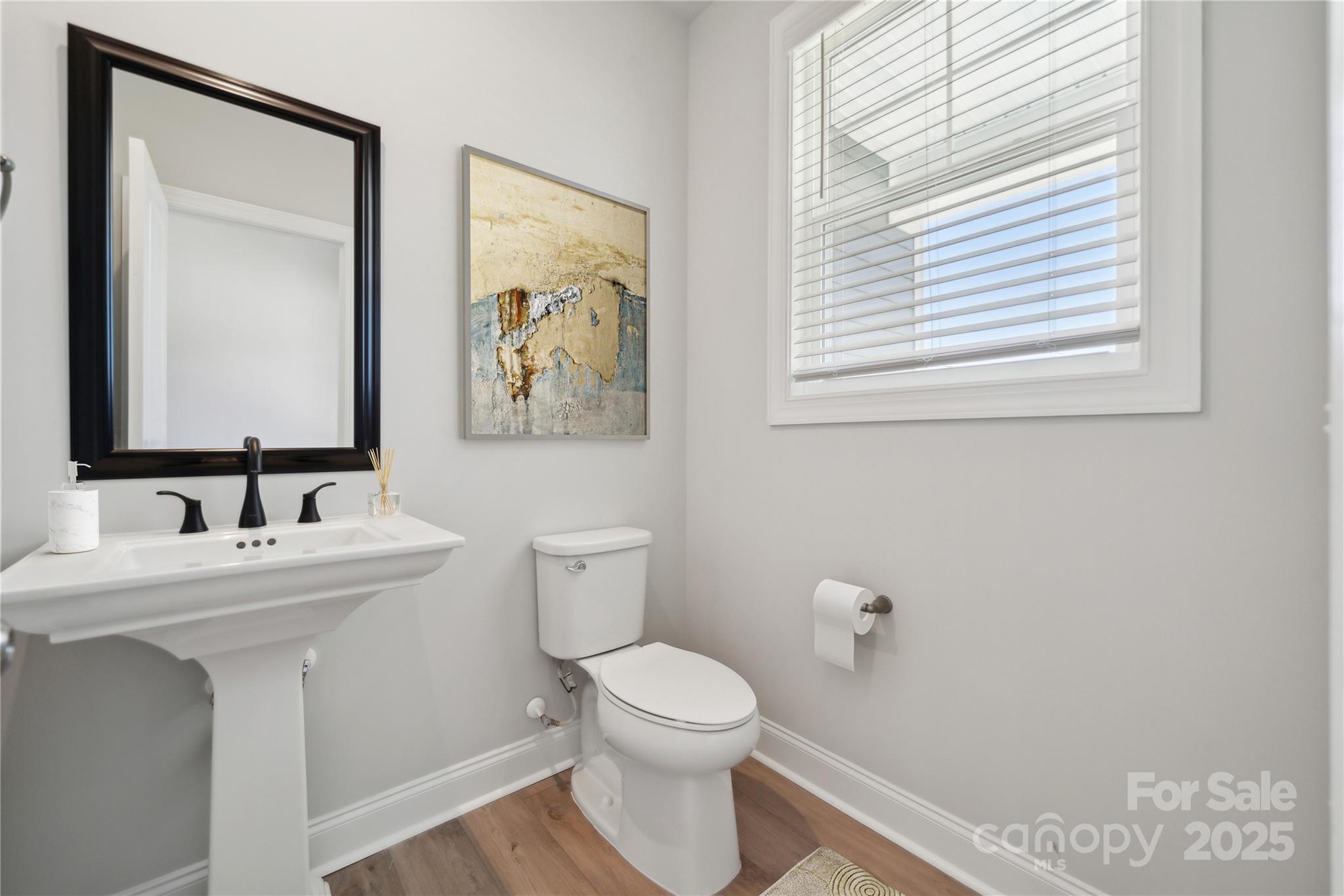 204 Balboa Street Matthews, NC 28104 - Photo 23 of 33 a bathroom with a toilet a sink and mirror