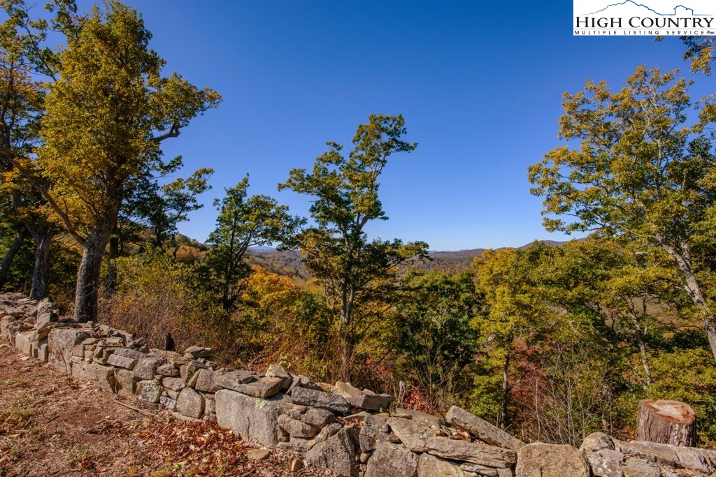 1-8 Laurel Branch Road Vilas, NC 28692 - Photo 11 of 49 Gallery Image 11