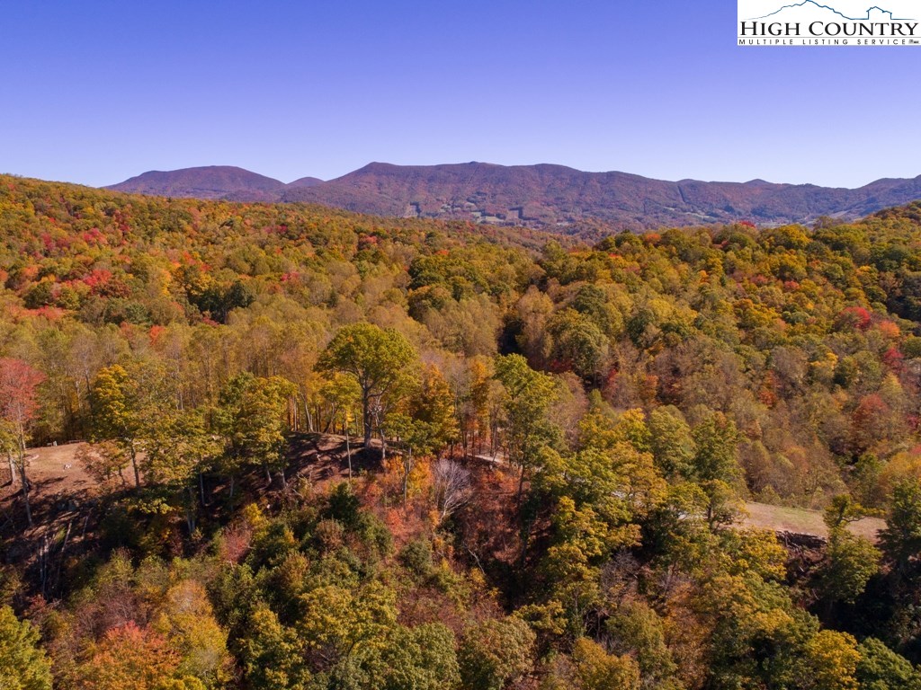 1-8 Laurel Branch Road Vilas, NC 28692 - Photo 30 of 49 Gallery Image 30