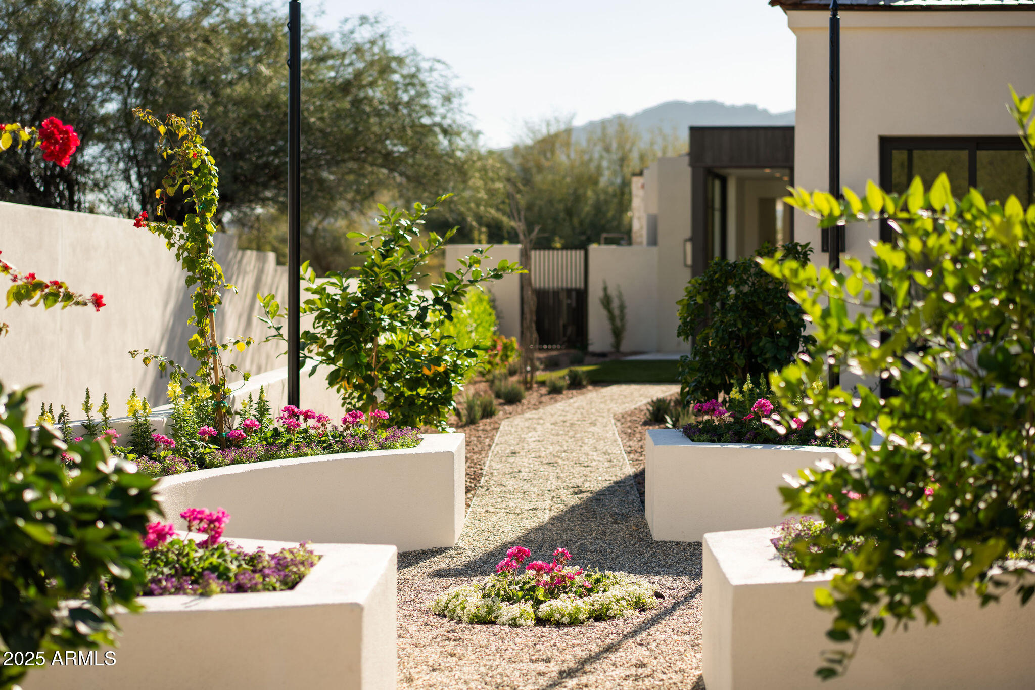 5902 East Cactus Wren Road Paradise Valley, AZ 85253 - Photo 65 of 72 a view of a potted flower in a yard