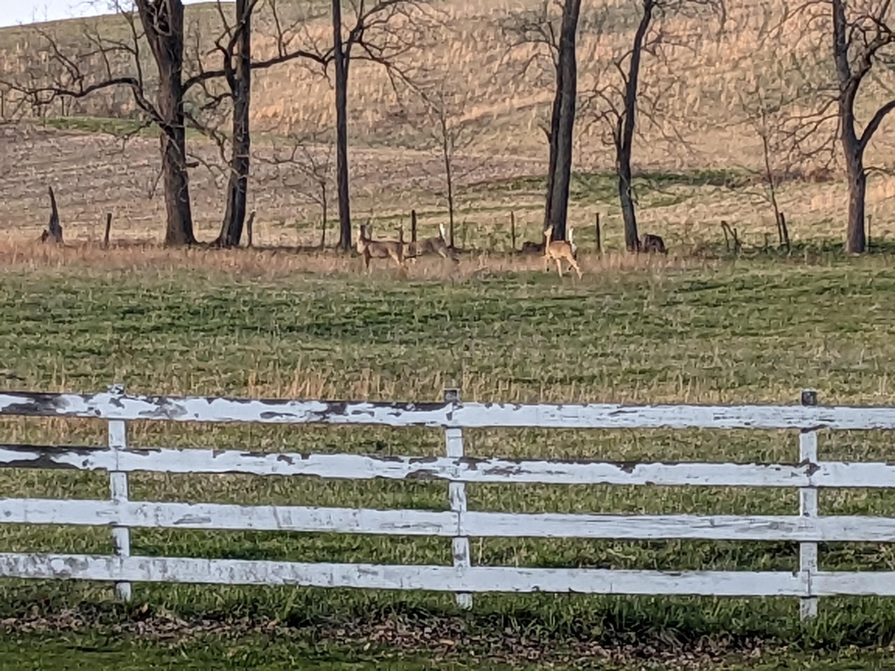 19005 Sycamore Road Mount Vernon, OH 43050 - Photo 14 of 58 14