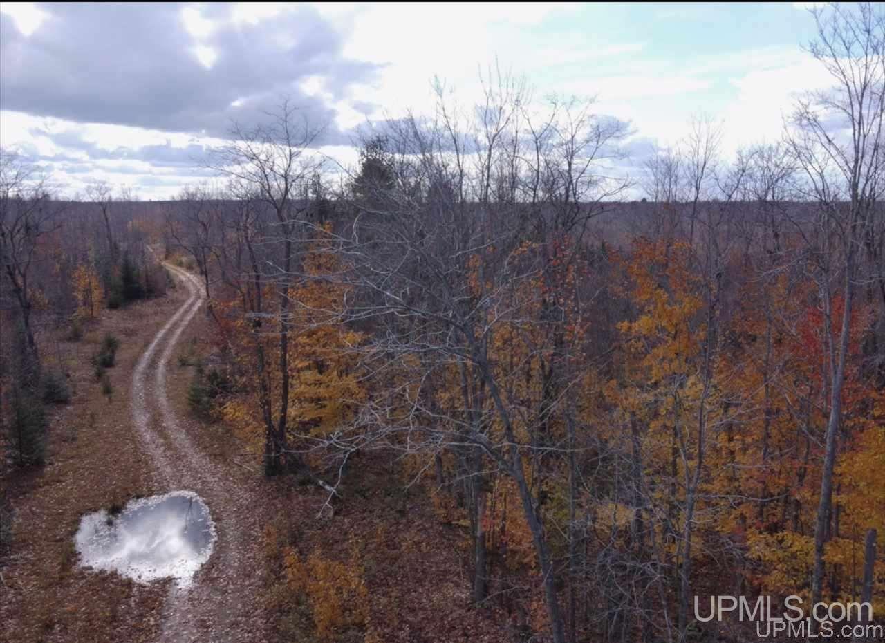 Tbd West Tbd W Co Road Seney, MI 49883 - Photo 4 of 12