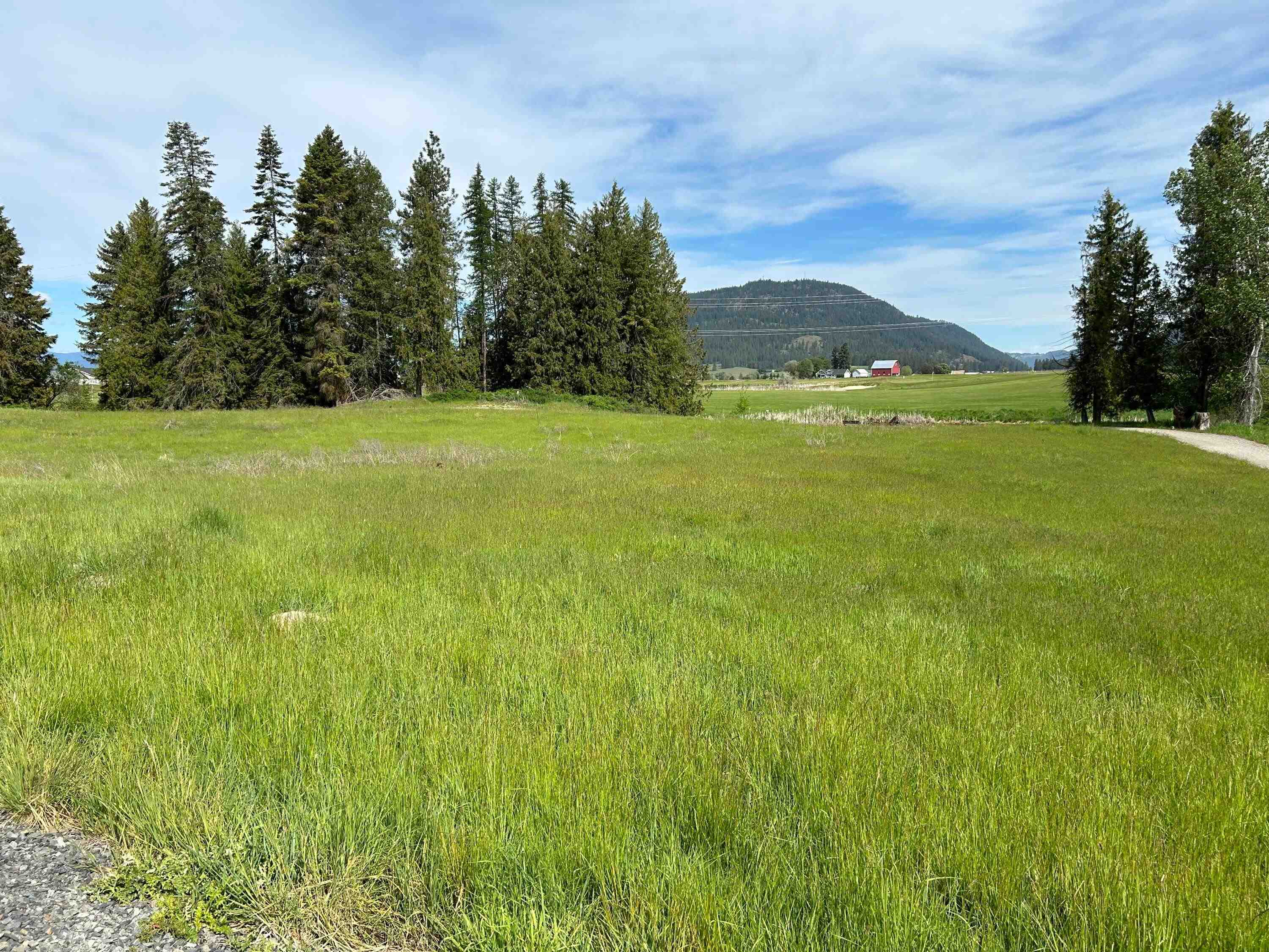 2135 Whitetail Way Colville, WA 99114 - Photo 2 of 9