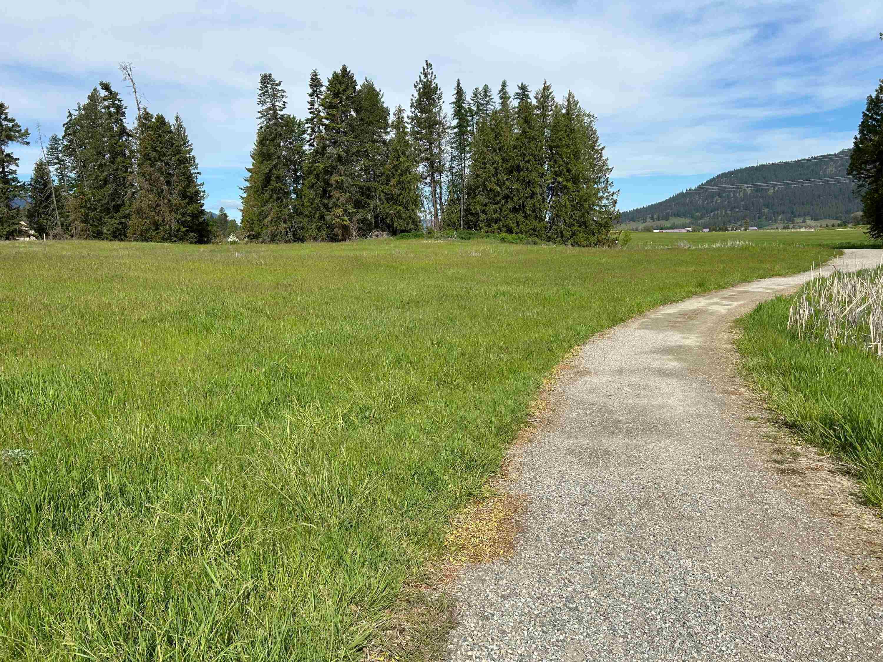 2135 Whitetail Way Colville, WA 99114 - Photo 3 of 9