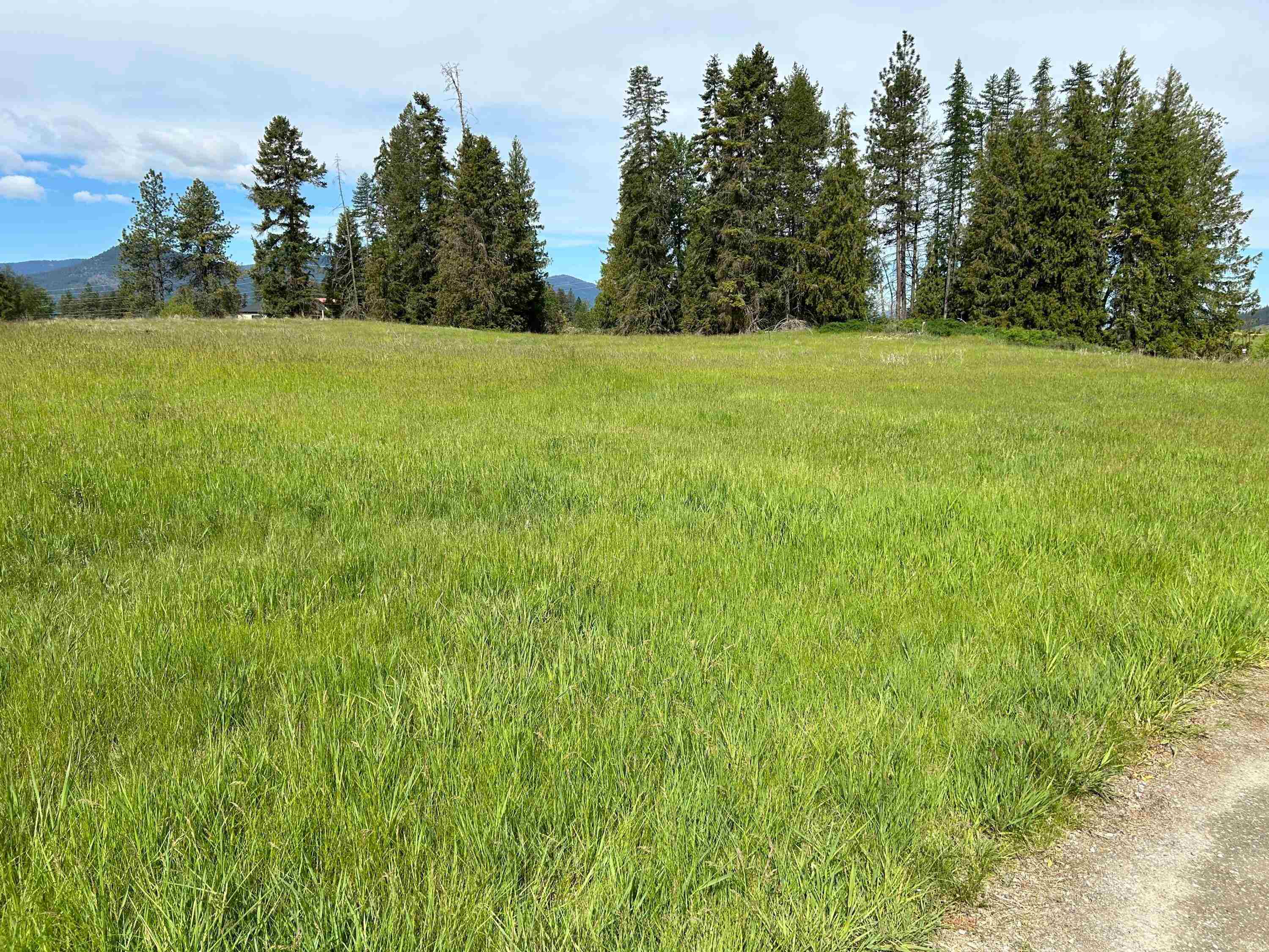 2135 Whitetail Way Colville, WA 99114 - Photo 4 of 9