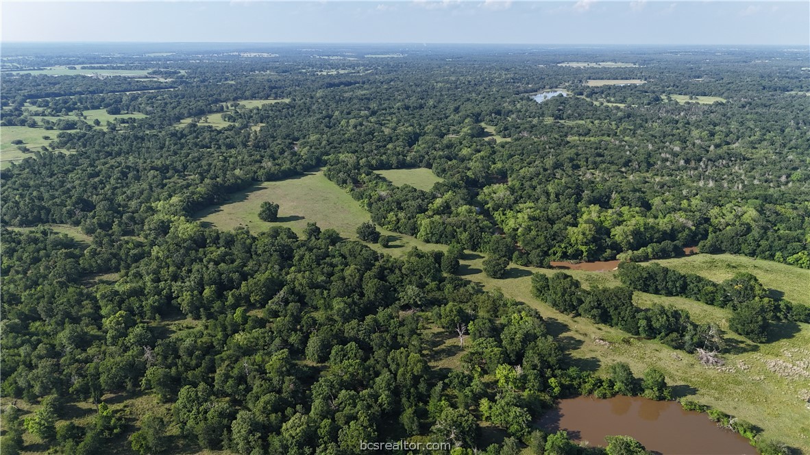 Tbd Tbd Wilson Pasture Road Bryan, TX 77808 - Photo 26 of 29 an aerial view of residential house with outdoor space and trees all around