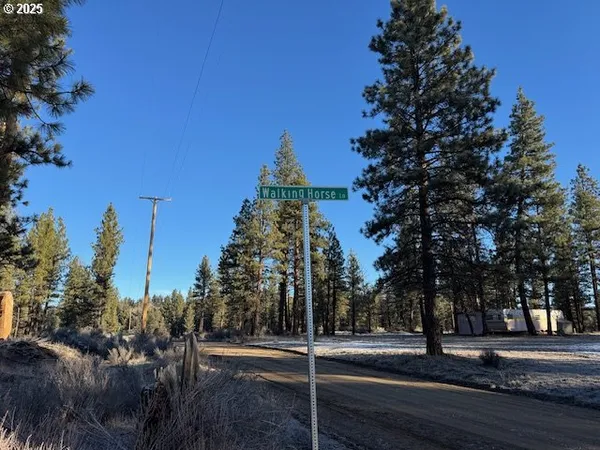 a view of a yard in front of a house