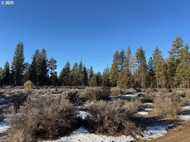 a view of a tree with a yard