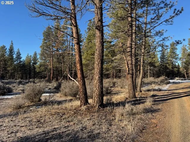 a view of a yard with trees
