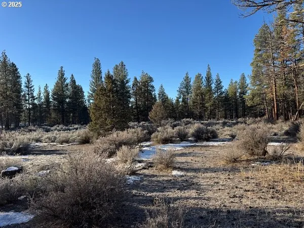 a view of a and covered with top of a forest