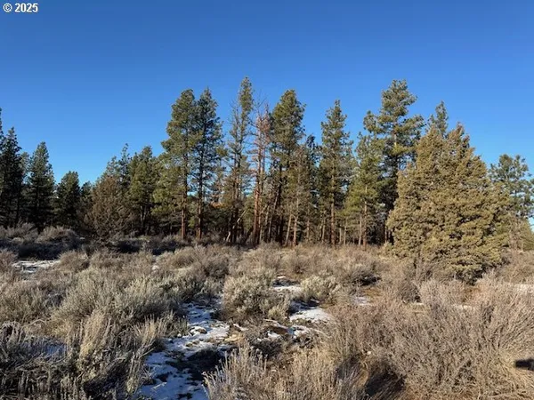 a view of a covered with trees in the background