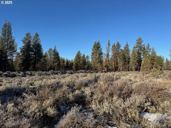 a view of a city with lush green forest