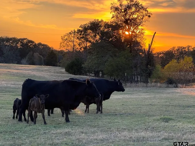 a view of a lake with a mountain