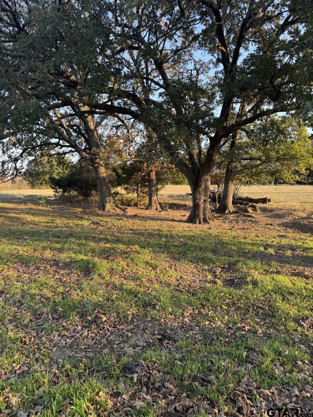 3827 Wills Point Wills Point, TX 75169 - Photo 23 of 23 a view of yard with tree
