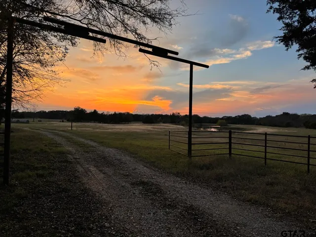 a view of a back yard