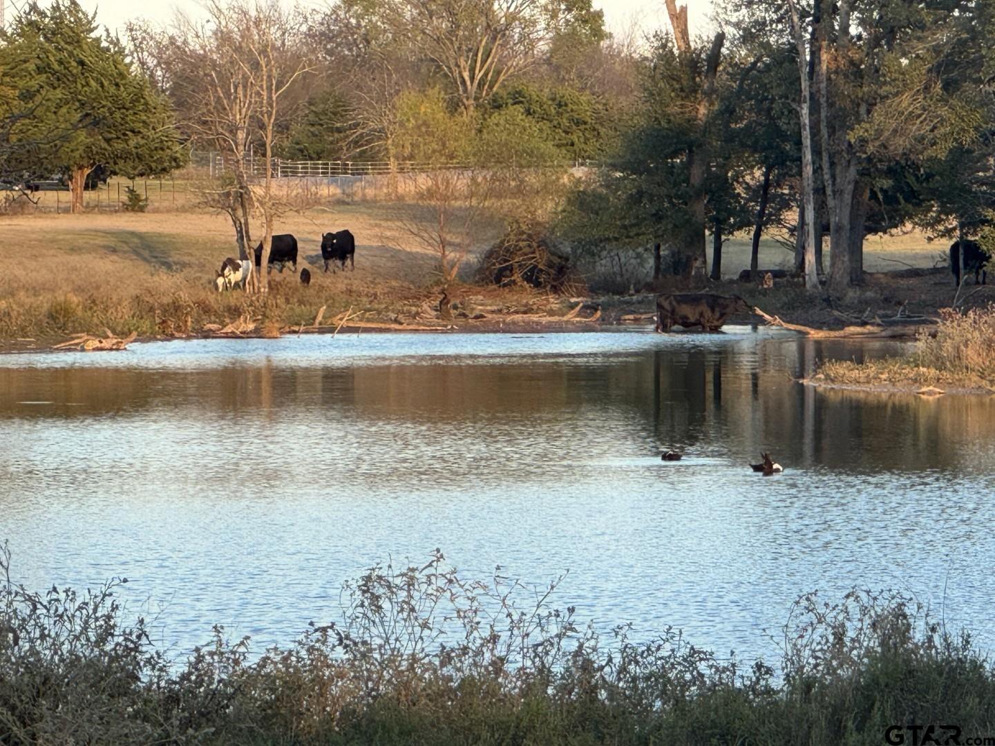 3827 Wills Point Wills Point, TX 75169 - Photo 4 of 23 a view of a lake with houses
