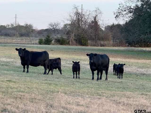 a view of a lake with a yard