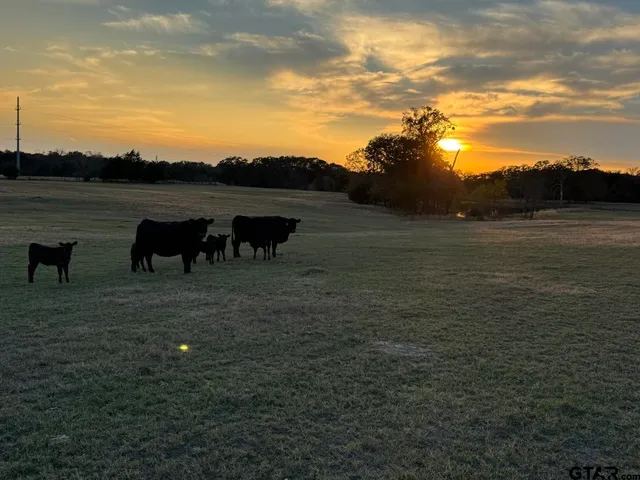 a view of outdoor space and mountain view
