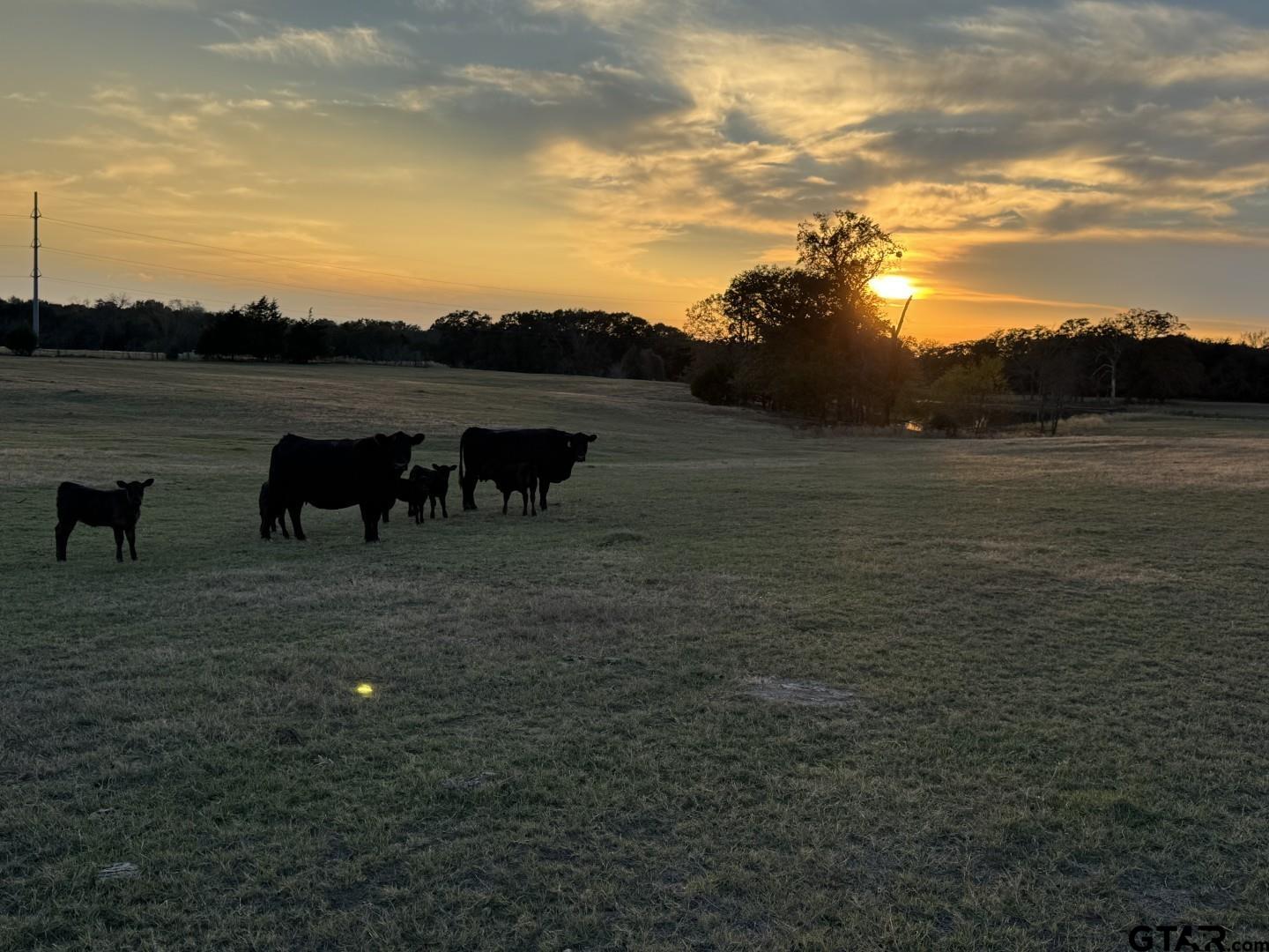 3827 Wills Point Wills Point, TX 75169 - Photo 9 of 23 a view of a lake with a yard