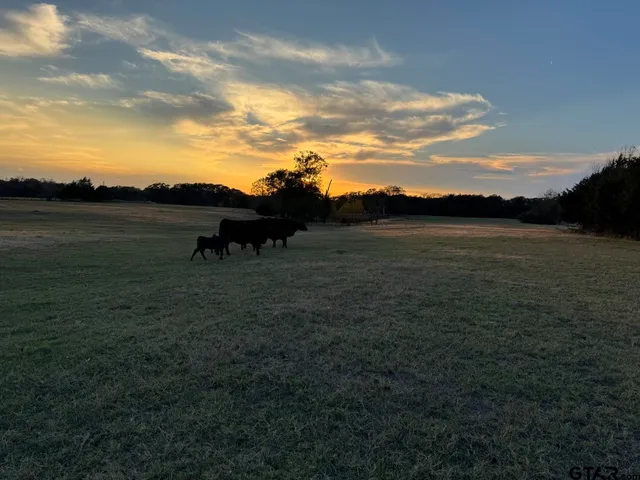 a view of a yard with table and chairs