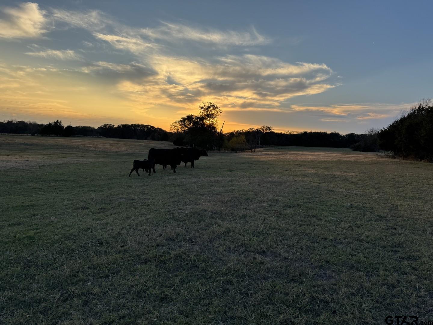 3827 Wills Point Wills Point, TX 75169 - Photo 10 of 23 a view of outdoor space and mountain view