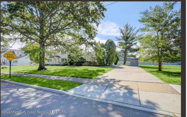 a view of a park with plants and trees