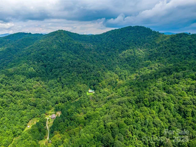a view of a lush green space with sea