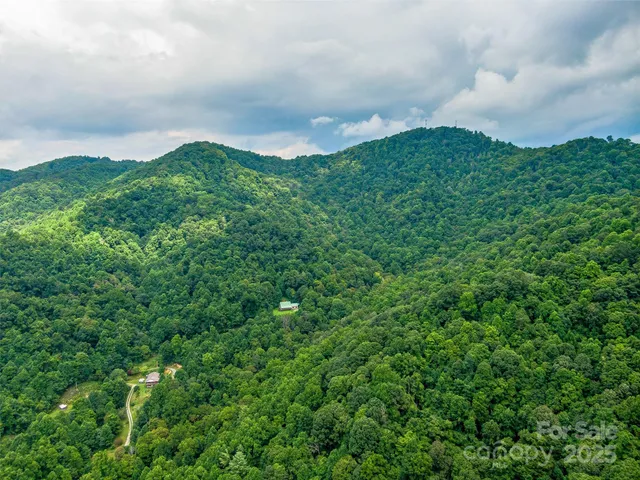 a view of a back yard
