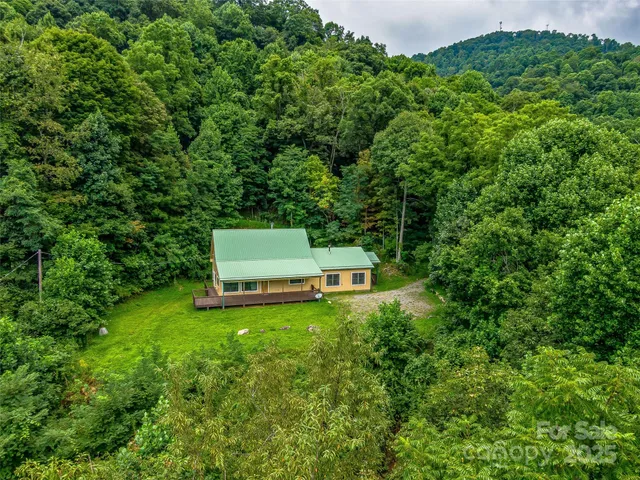 a view of a big yard with plants and large trees