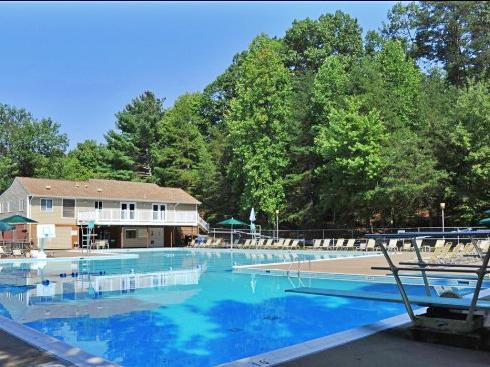 8097 Winding Way Court Springfield, VA 22153 - Photo 40 of 44 Serene poolside retreat with community swim team.