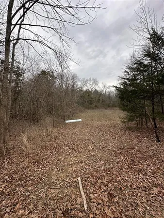 a close up of a door