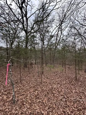 a view of a yard