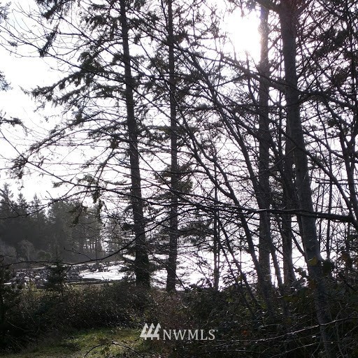 9999 Sunset Road South Bend, WA 98586 - Photo 2 of 4 Gallery Image 2