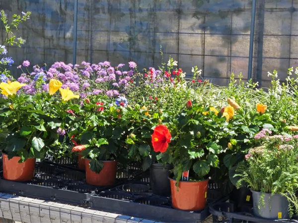 $215,000 | 174 Falcon Drive, Luling, TX 78648