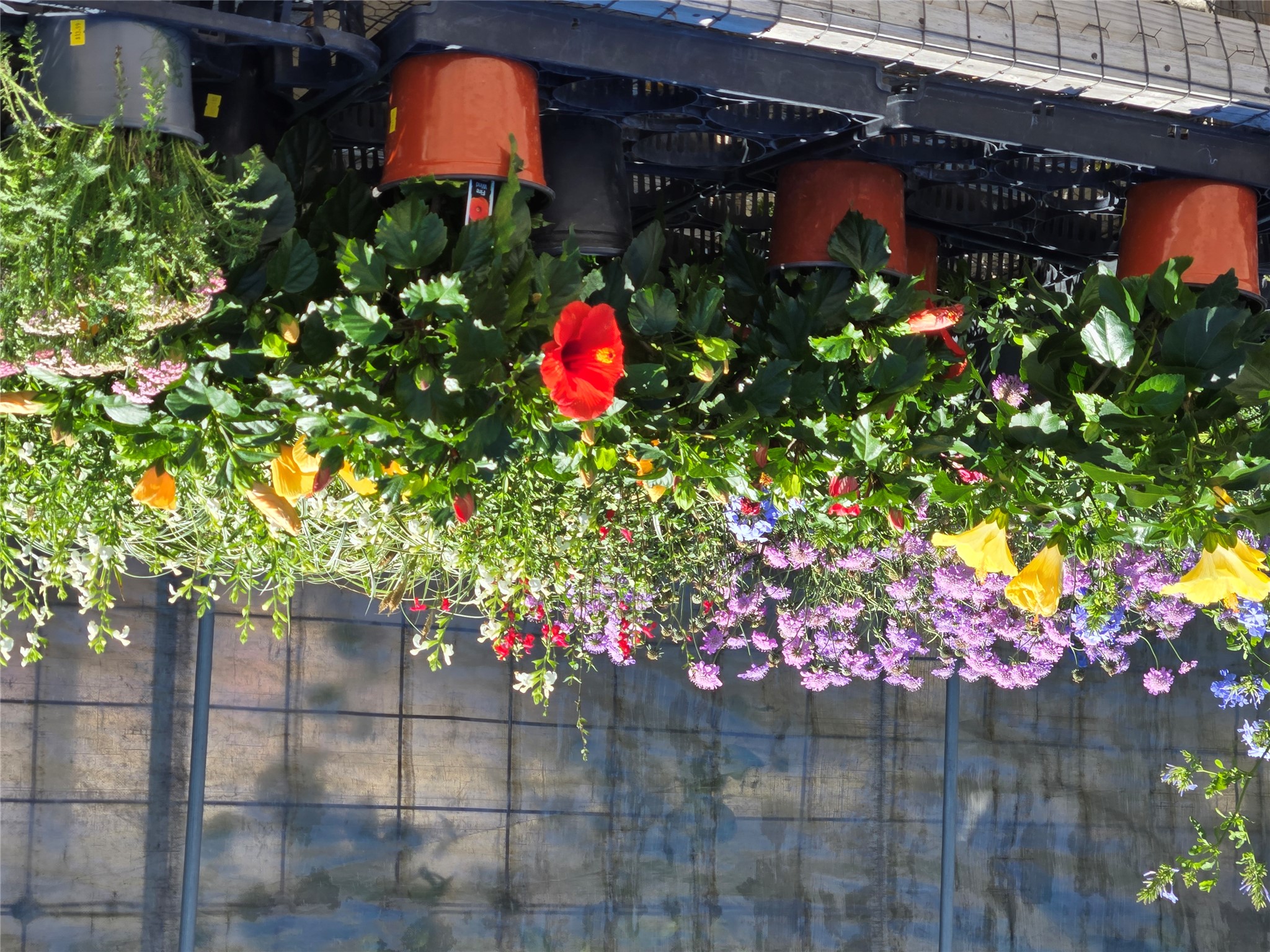 174 Falcon Drive Luling, TX 78648 - Photo 29 of 38 FLOWER SHOP