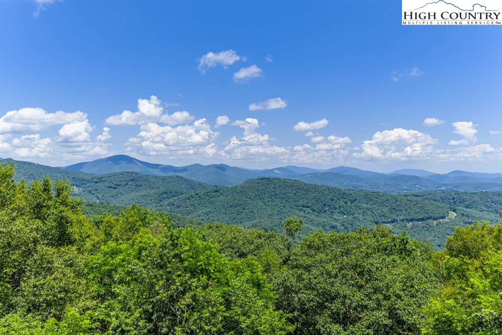 404 Running Deer Trail Boone, NC 28607 - Photo 3 of 38 a view of a big yard with lots of green space