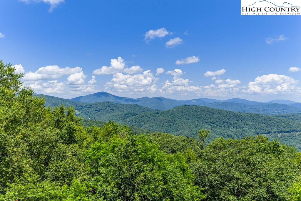 404 Running Deer Trail Boone, NC 28607 - Photo 36 of 38 a view of a city with lush green forest