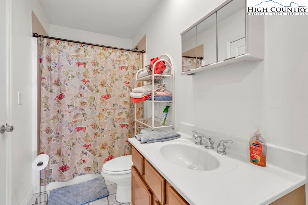404 Running Deer Trail Boone, NC 28607 - Photo 10 of 38 a bathroom with a sink a toilet and shower curtain