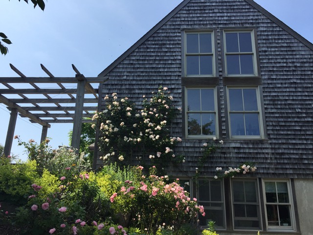 18 Dukes Road Nantucket, MA 02554 - Photo 23 of 31 Gallery Image 23