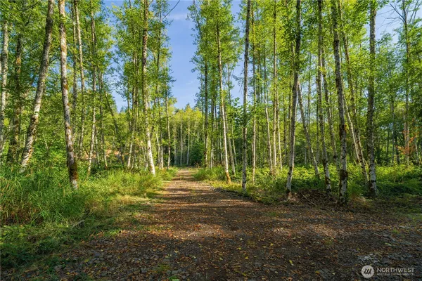 a view of outdoor space with trees