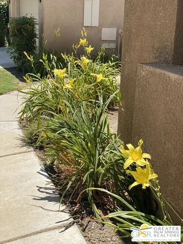 a vase of flowers sitting on a floor