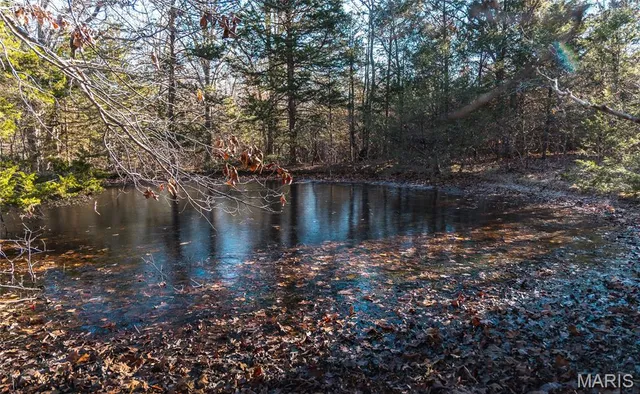 $672,400 | 29900 Pelican Drive, Lebanon, MO 65536