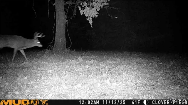 $672,400 | 29900 Pelican Drive, Lebanon, MO 65536