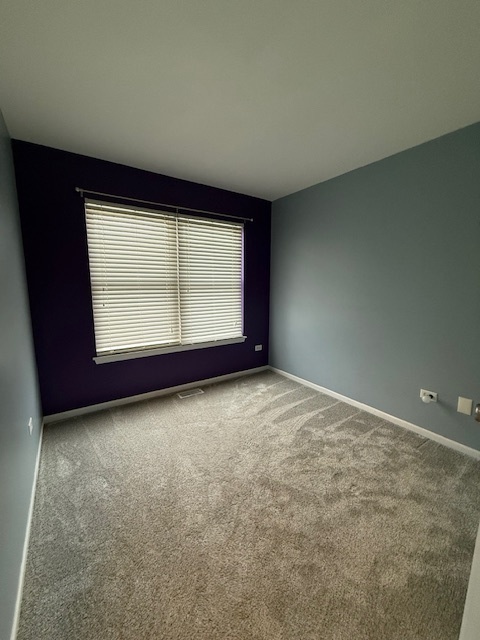 34404 North Barberry Road Round Lake, IL 60073 - Photo 6 of 14 an empty room with windows