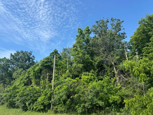 $145,000 | 41 US Highway 41, Lake Village, IN 46349