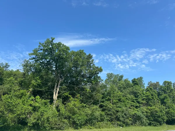 a view of a green field