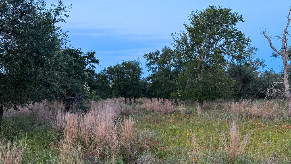 Lot #9 Slate Rock Road, Unit 9 Fredericksburg, TX 78624 - Photo 15 of 16